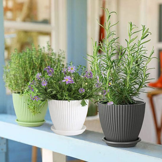 pot de fleur rond sur balcon
