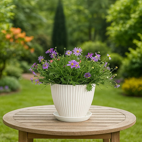 pot de fleur rond sur table