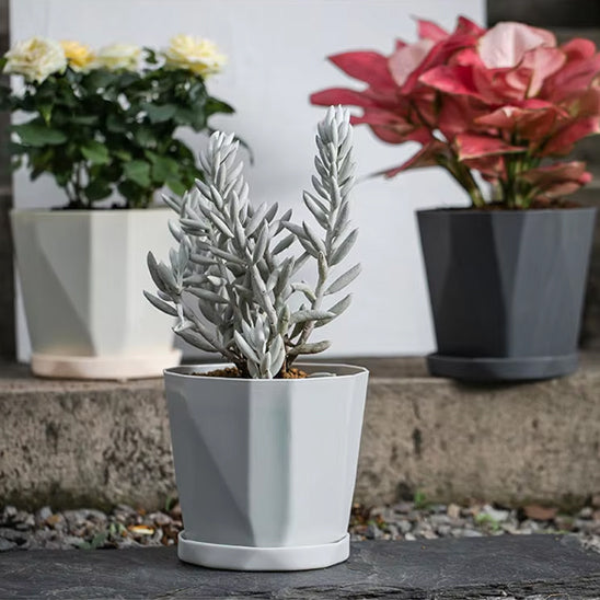 pot de fleur sur port  jardin