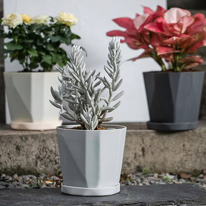 pot de fleur sur port  jardin