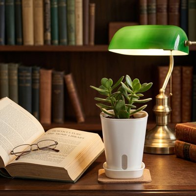 Pot de fleurs intérieur sur le bureau entre une lampe et un livre ouvrir