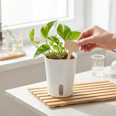 Pot de fleurs intérieur sur une table 