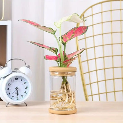Pot de fleurs sur la table