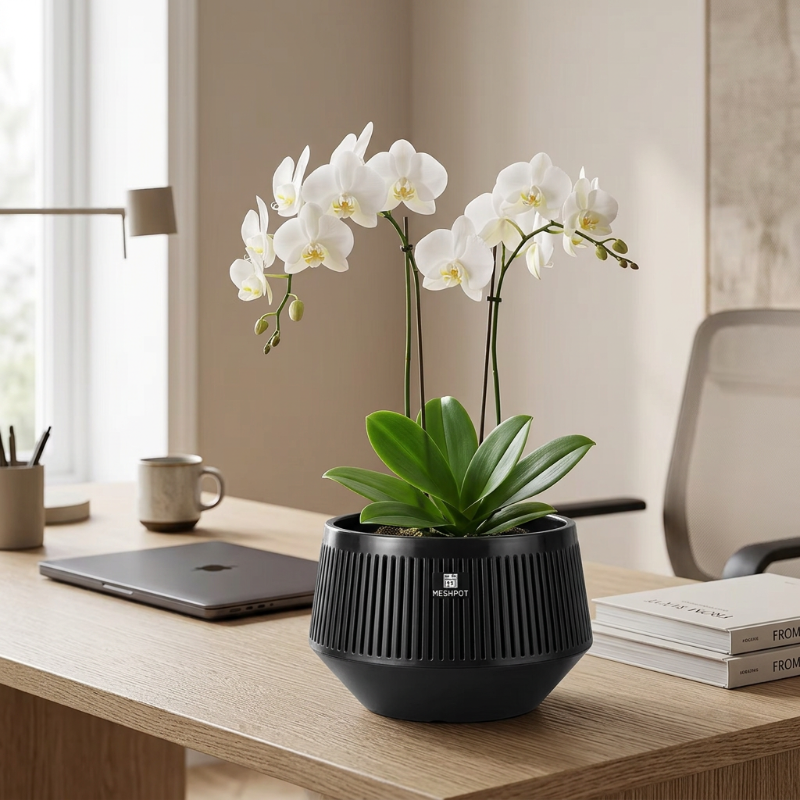 Pot noir avec des orchidées blanches sur un bureau