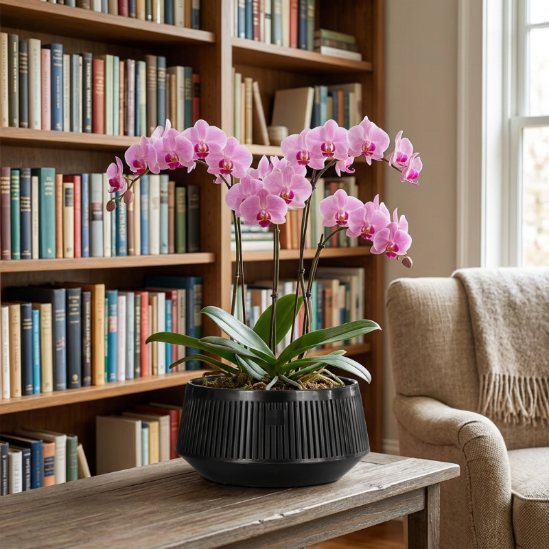 Pot noir avec des orchidées roses dans une bibliothèque