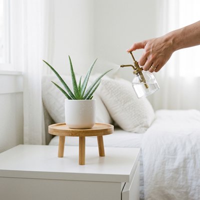 un pot sur un Support plante intérieur dans la chambre 