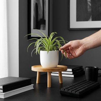 Un pot sur un Support plante intérieur sur le bureau