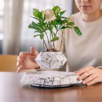 Pots de fleurs avec des fleurs
