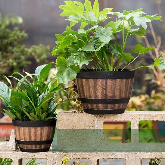 Pots de fleurs dans le jardin