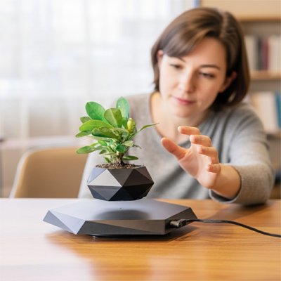 Pots de fleurs sur la table salon