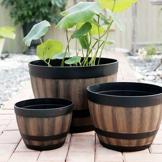Pots de fleurs 