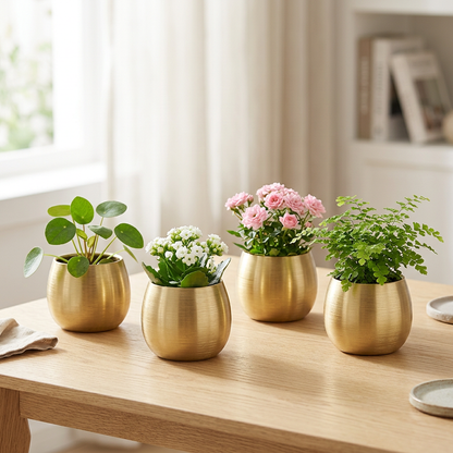 Quatre cache-pots dorés avec fleurs et plantes
