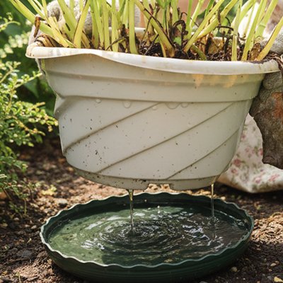 Soucoupe pot de fleur dehors avec d'eau