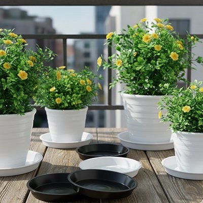 Soucoupe pot de fleur sur balcom