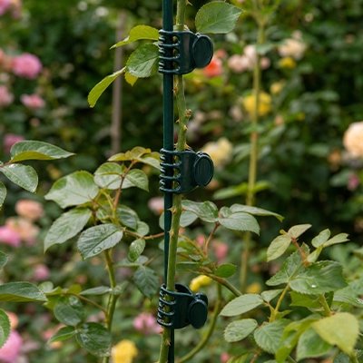 Support plante grimpante qui tiens une plante