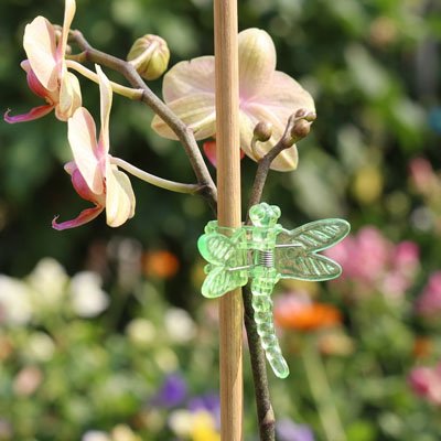Support plante grimpante en forme de libellule qui tient une fleur