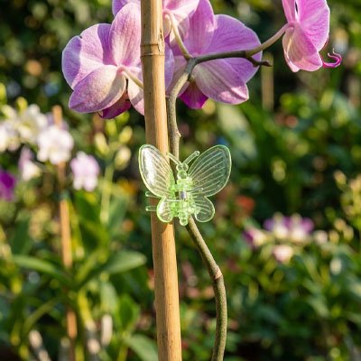 Support plante grimpante en forme de papaillon