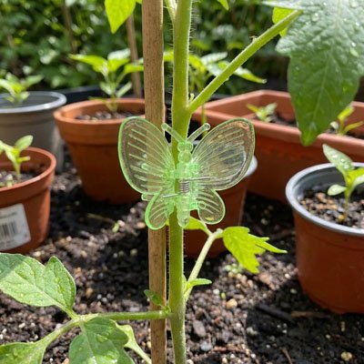 Support plante grimpante en forme de papillon qui tient une plante