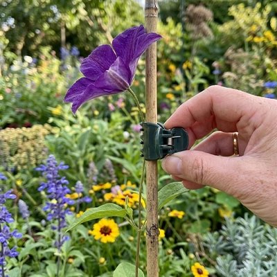 Support plante grimpante en forme de pince qui tiens une fleur