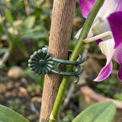 Support plante grimpante en forme de pinces