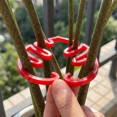 Support plante grimpante rouge qui tient 7 tige au même temps