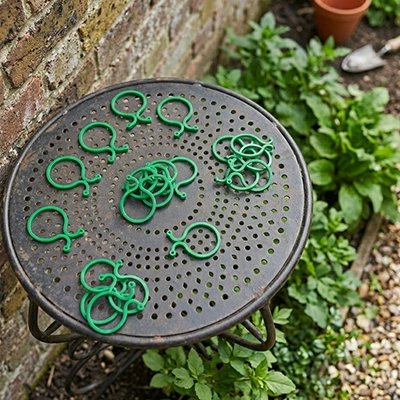 Support plante grimpante sur une table