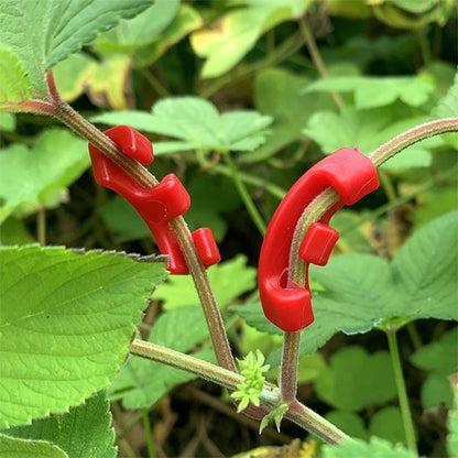 Support plante intérieur qui aideront à réorienter vos tiges 