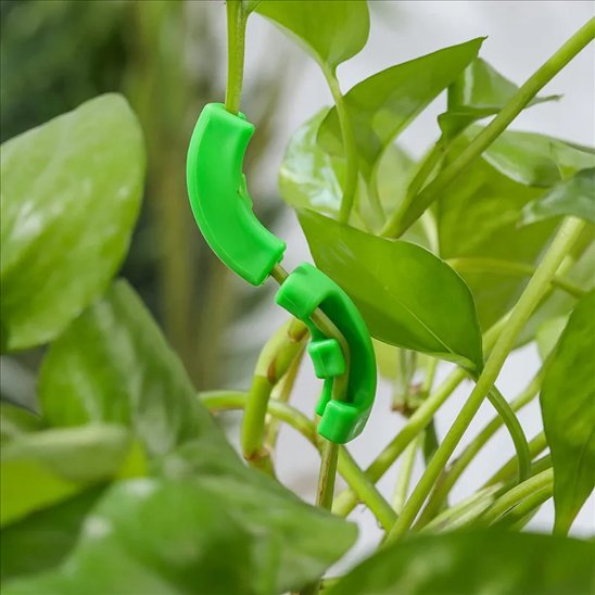 Support plante intérieur qui contrôlant la hauteur d'une  plante.