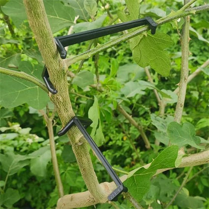 Support plante intérieur et Extracteur de branches d'arbres fruitiers,