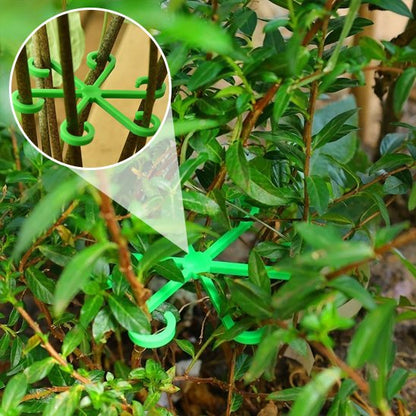 Support plante intérieur en forme de cercle 