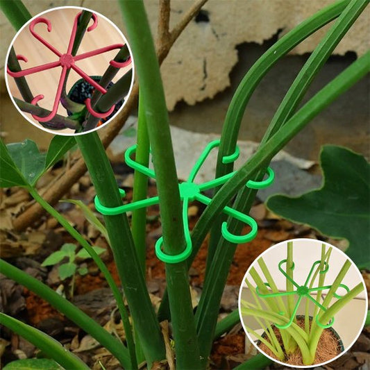Support plante intérieur qui maintenir plusieurs tiges 