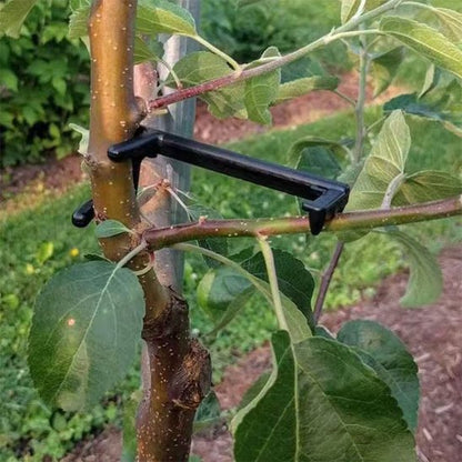 Support plante intérieur il sépare les branche d'arbre 