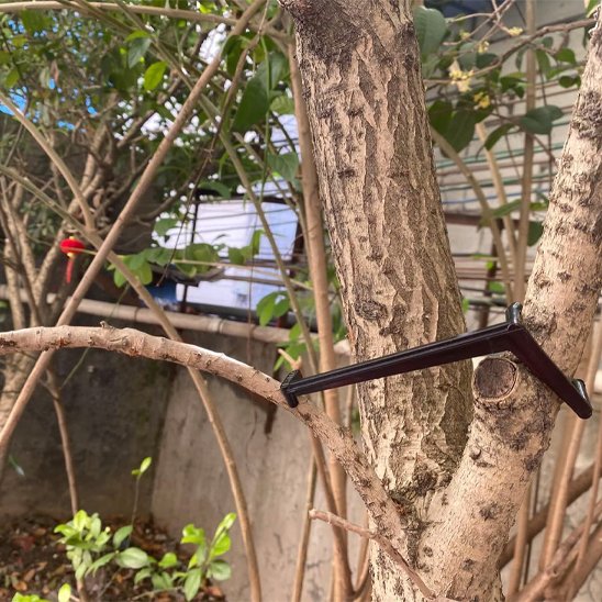 Support plante intérieur qui sépare l'écorce des arbres 
