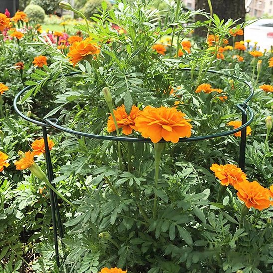 Support plante intérieur qui tient des fleur dans le jardin