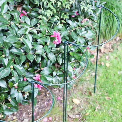 Support plante intérieur qui tient des fleurs de jardin droite 