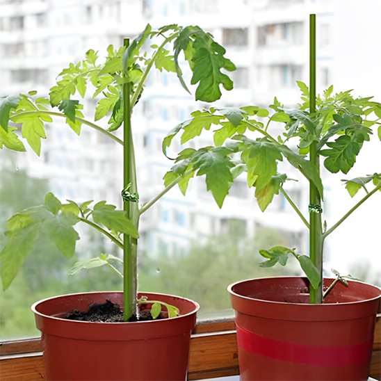 Support plante intérieur qui tient une plante droite