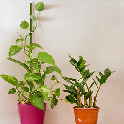 Support plante intérieur qui tient une plante grimpante 