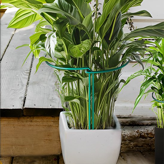 Support plante intérieur qui tient une plante intérieur