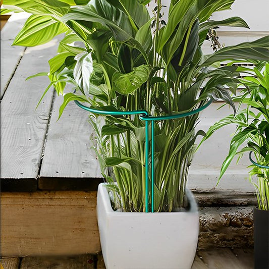 Support plante intérieur qui tient une plante intérieur
