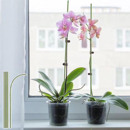 Support plante intérieur qui tient une plante d'orchidée devant la fenêtre