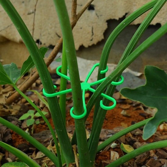 Support plante intérieur qui stabilise une plante