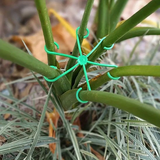 Support plante intérieur qui tient plusieurs tige