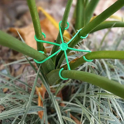 Support plante intérieur qui tient plusieurs tige