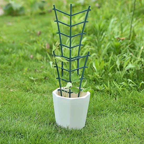 Supports pour plantes instale dans pot de plante dehors