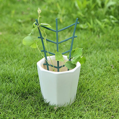 Supports pour plantes 